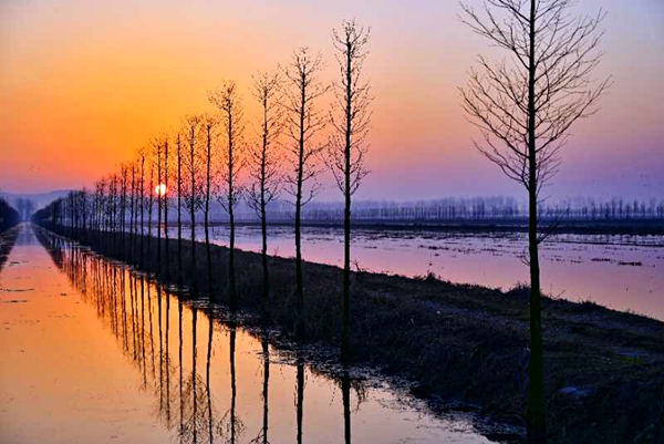 2月20日，在全椒縣武崗鎮(zhèn)荒草圩拍攝的春天日出景象。晉冬梅  攝.jpg