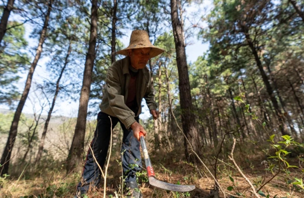 /uploads/image/2025/10/20/53a7a7025551f9b82c9bcd63c3f829ee.jpg 640 (3)_副本.jpg