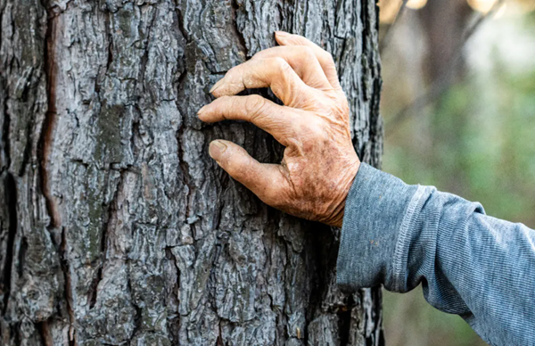 /uploads/image/2025/10/20/7c772dc3266bb190a6965e3fa64e65aa.png 微信圖片_2025-10-20_211541_988.png