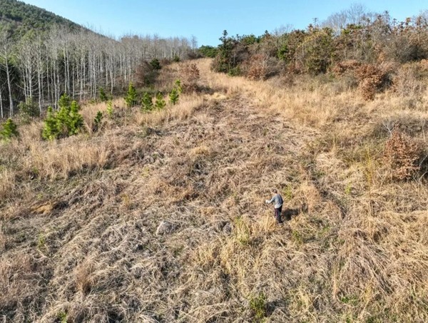 /uploads/image/2025/10/20/8e2de2eb64716a6cc39c82644b0c6afc.jpg 640.jpg