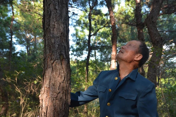 /uploads/image/2025/10/20/b0761df7a59272dcbf8195cba716b3b2.jpg 640 (1).jpg