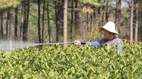 /uploads/image/2025/10/20/de001cfe9617d5425cc517b2b6fc5559.png 640 (1).png