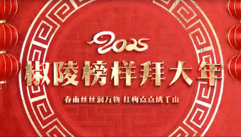 2025椒陵榜樣拜大年（下）
