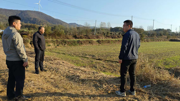 全椒縣馬廠(chǎng)鎮(zhèn)：農(nóng)技人員指導(dǎo)冬季小麥安全越冬